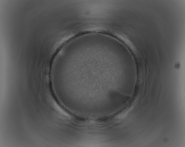 X0000093100585200710101539