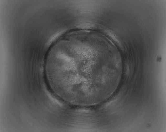 X0000093100586200710101539