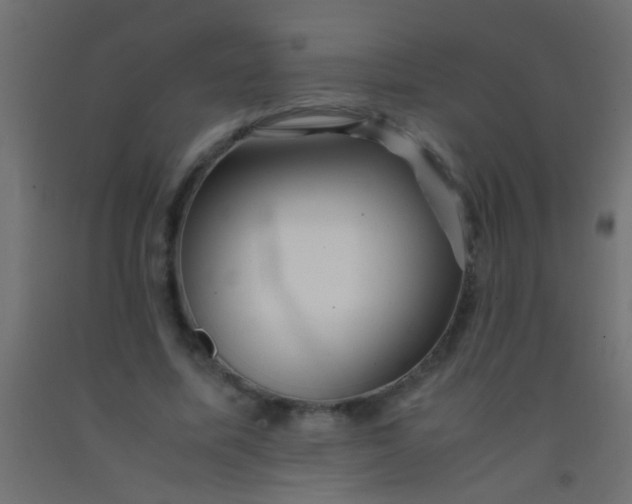 X0000093100587200710101539