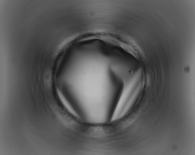 X0000093100588200710101539