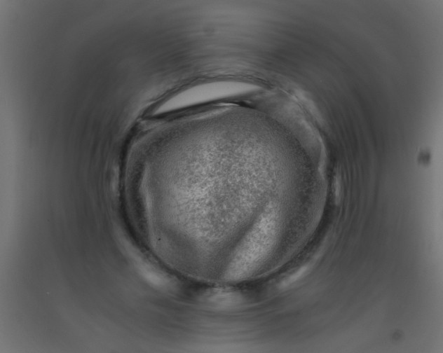 X0000093100589200710101539