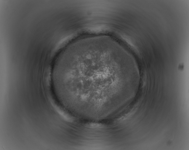 X0000093100590200710101539