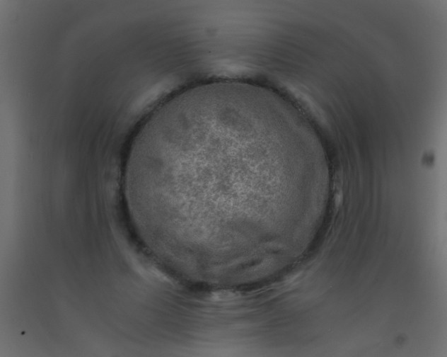 X0000093100591200710101539