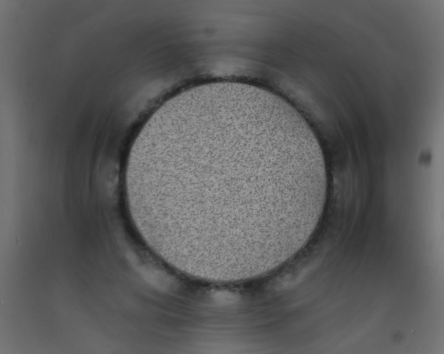 X0000093100592200710101539