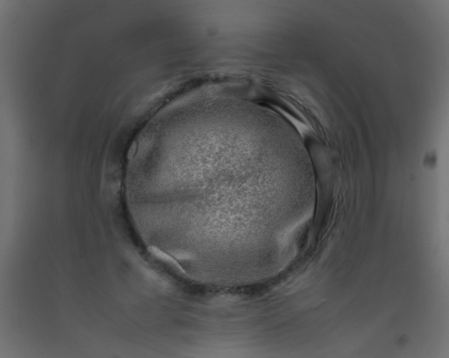 X0000093100593200710101539