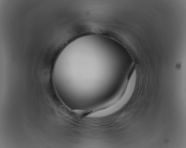X0000093100595200710101539