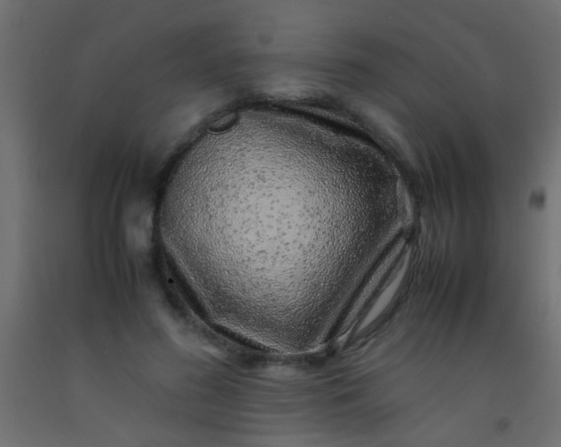 X0000093100596200710101539