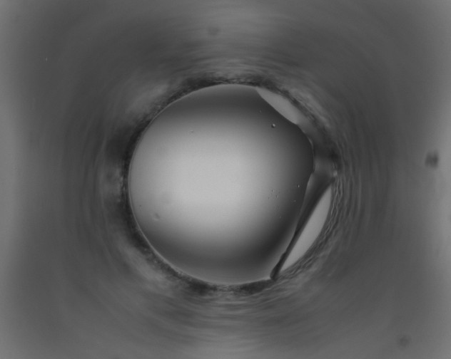 X0000093100597200710101539