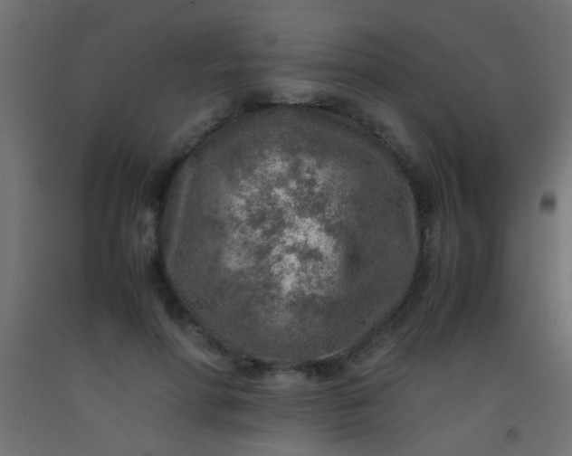 X0000093100598200710101539