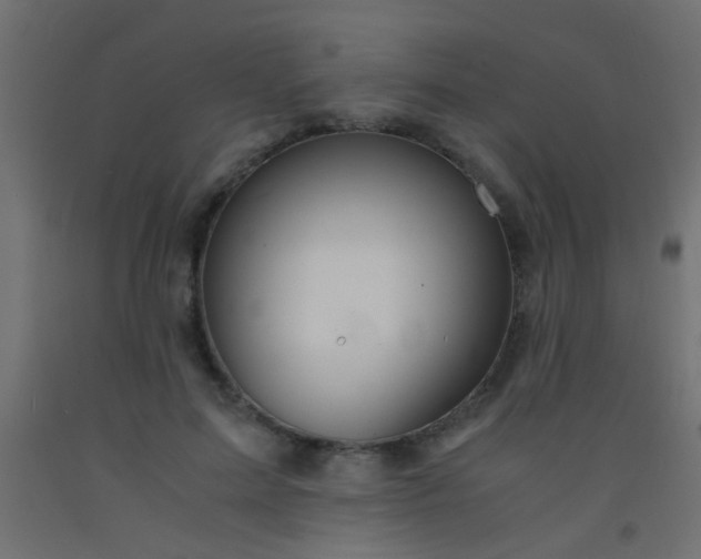 X0000093100599200710101539
