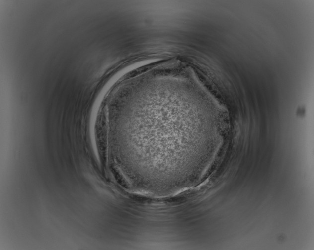 X0000093100600200710101539
