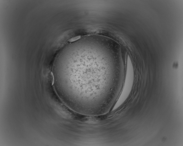 X0000093100601200710101539