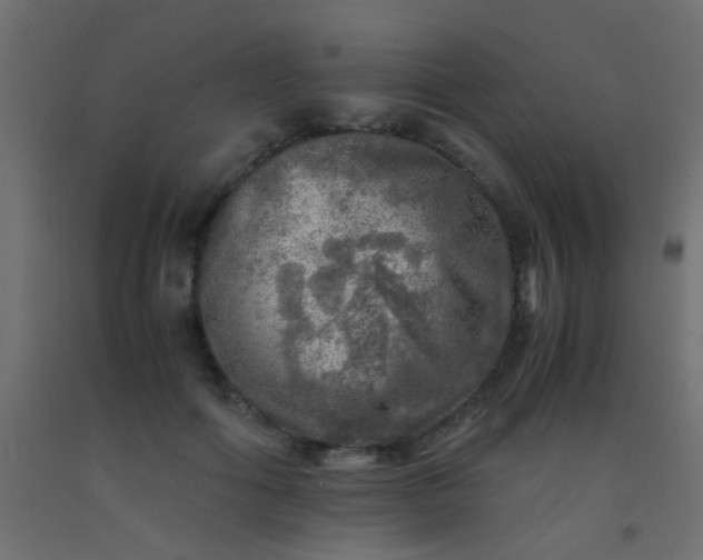 X0000093100602200710101539