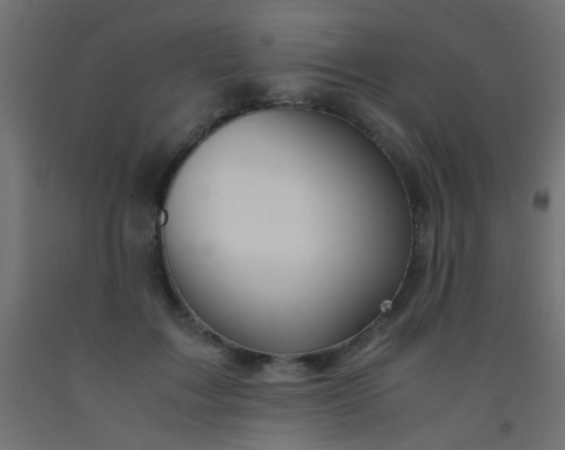 X0000093100603200710101539