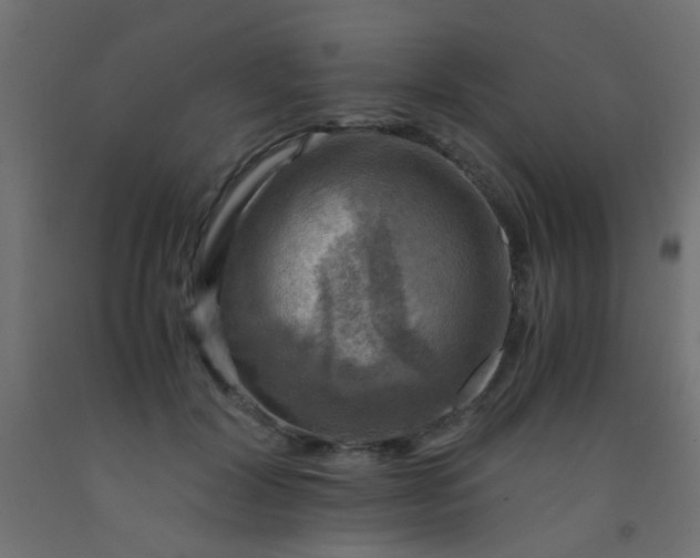 X0000093100604200710101539