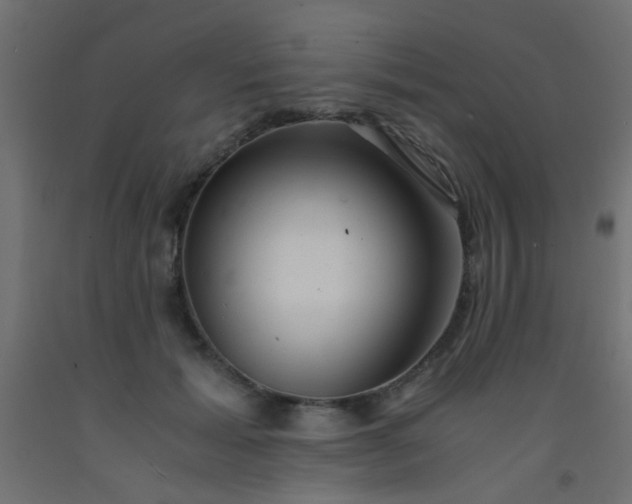 X0000093100605200710101539