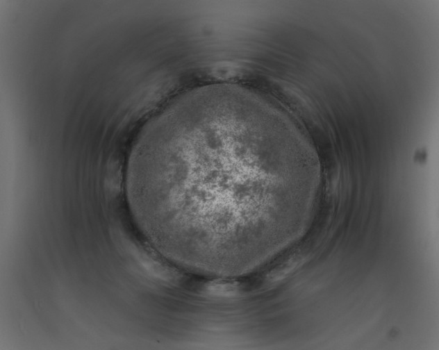 X0000093100606200710101539