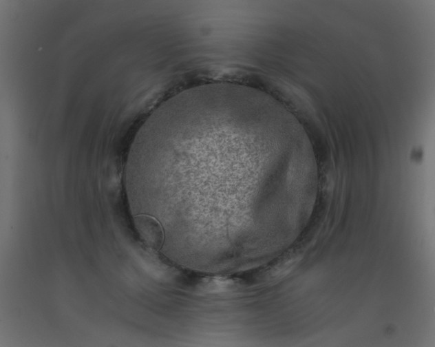 X0000093100607200710101539
