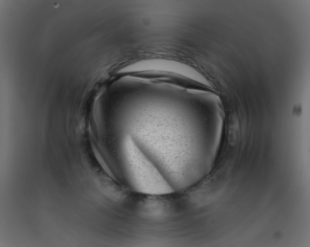 X0000093100608200710101539