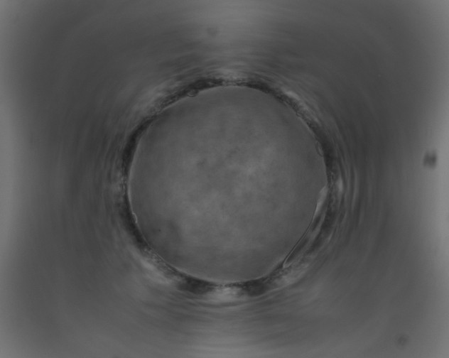 X0000093100609200710101539