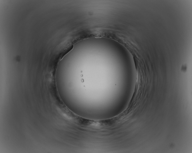 X0000093100611200710101539