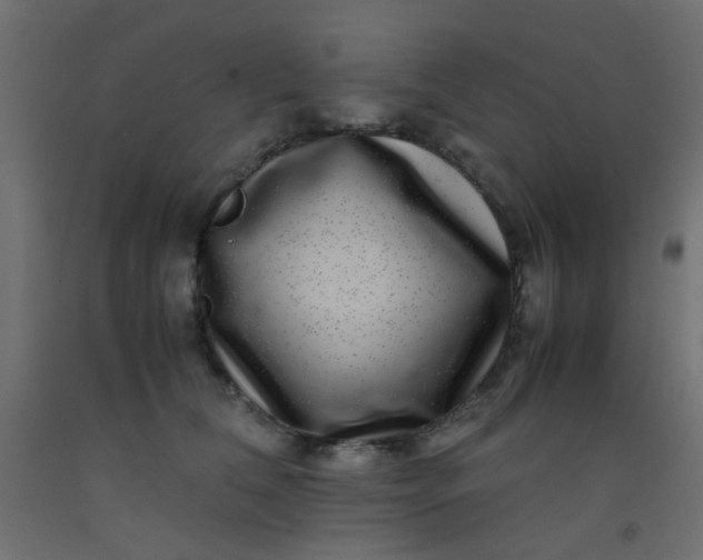 X0000093100612200710101539
