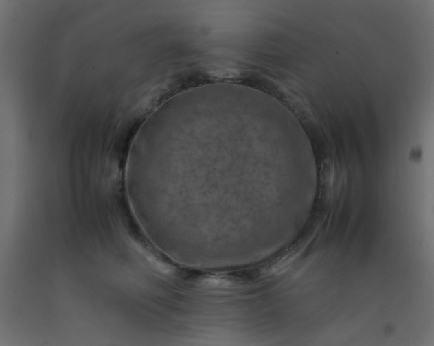 X0000093100614200710101539