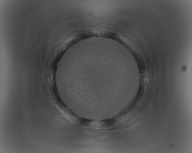 X0000093100615200710101539