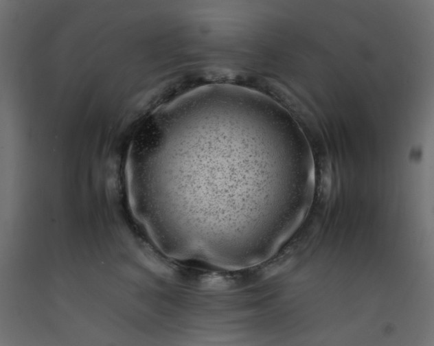 X0000093100616200710101539
