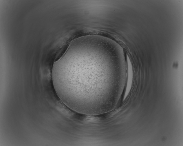 X0000093100617200710101539
