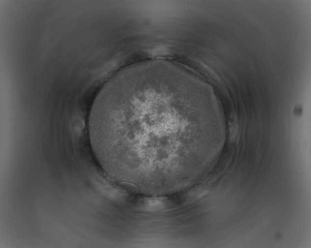 X0000093100618200710101539