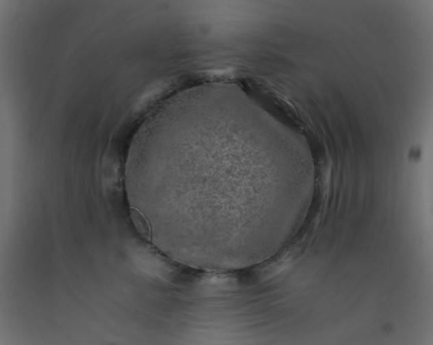 X0000093100619200710101539