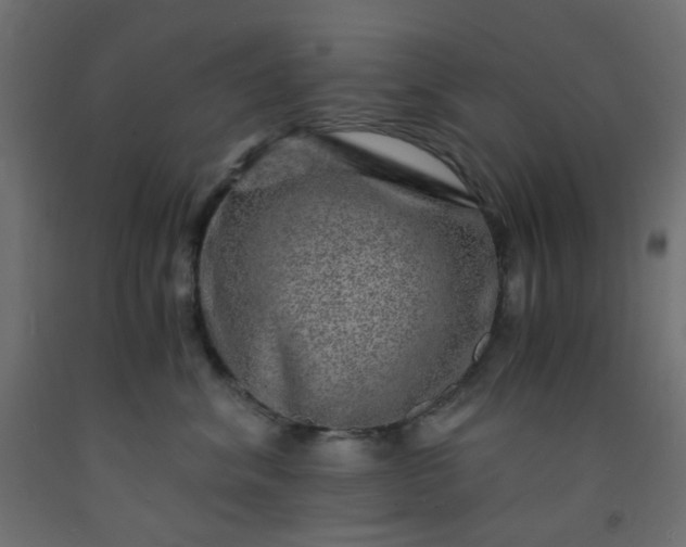X0000093100620200710101539