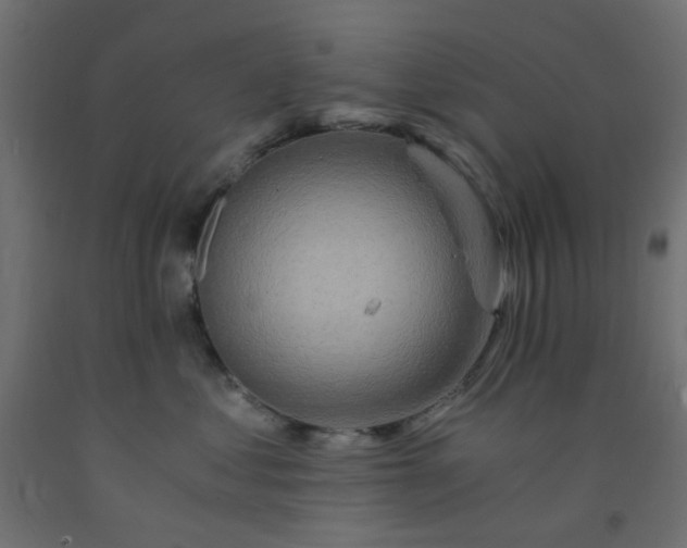 X0000093100621200710101539