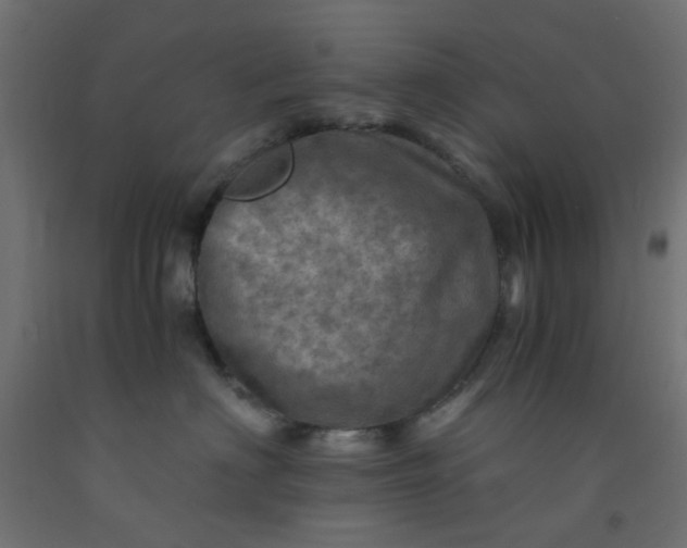 X0000093100622200710101539