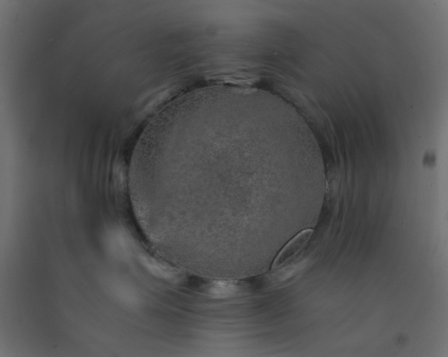 X0000093100623200710101539