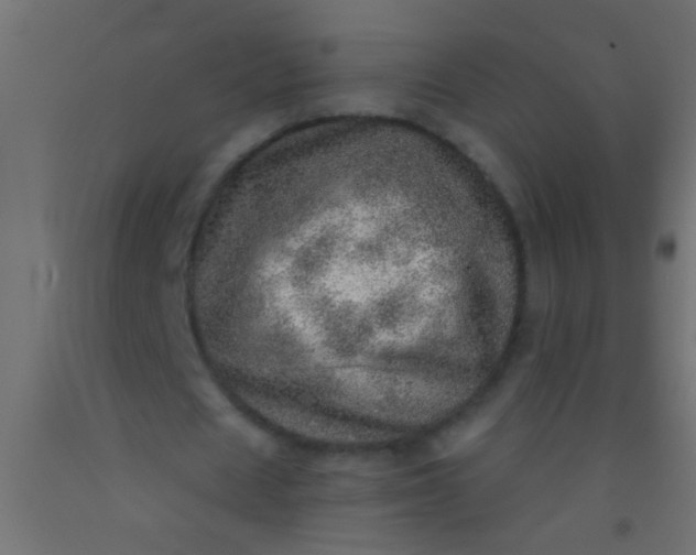 X0000093100625200710101538