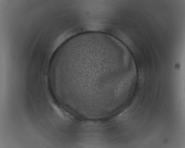 X0000093100626200710101538