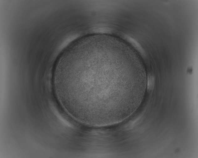 X0000093100627200710101538