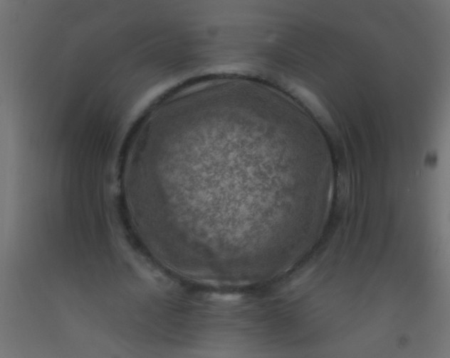 X0000093100628200710101538