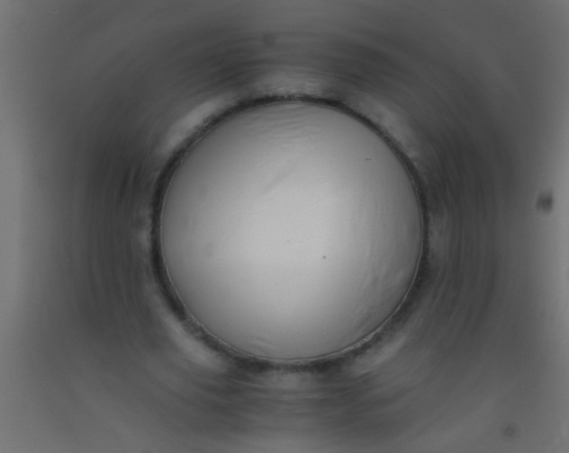 X0000093100629200710101538