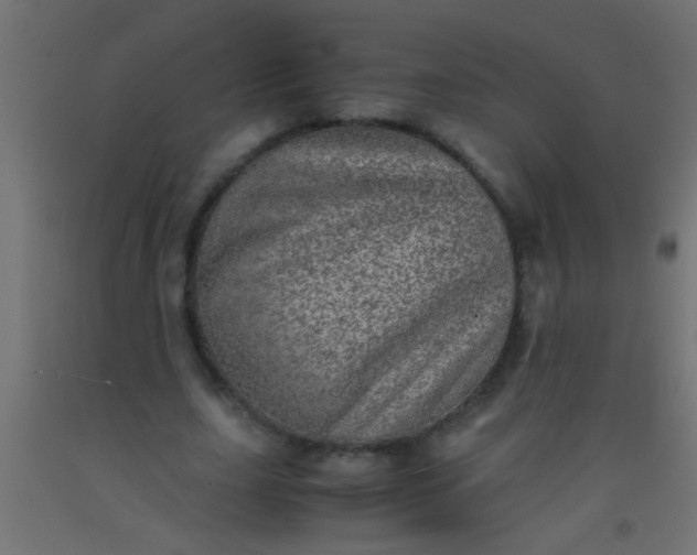 X0000093100631200710101538
