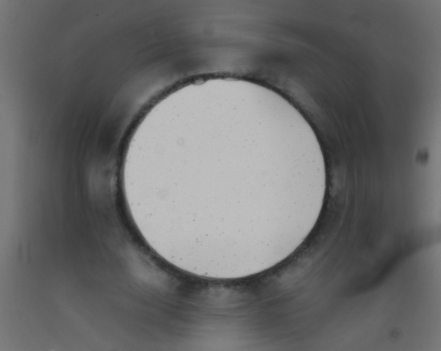 X0000093100632200710101538