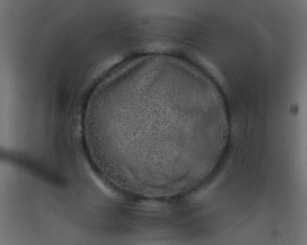 X0000093100633200710101538
