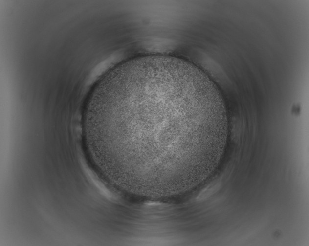 X0000093100634200710101538