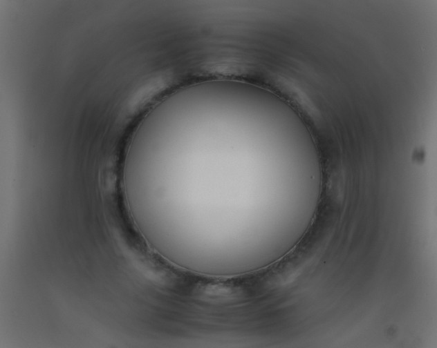 X0000093100635200710101538