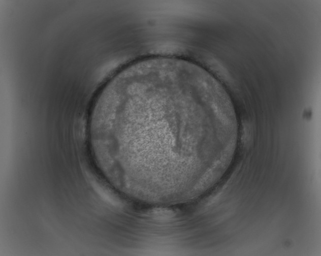 X0000093100636200710101538