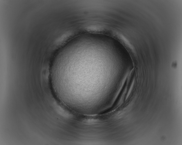 X0000093100637200710101538