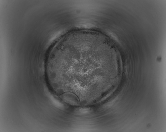 X0000093100638200710101538