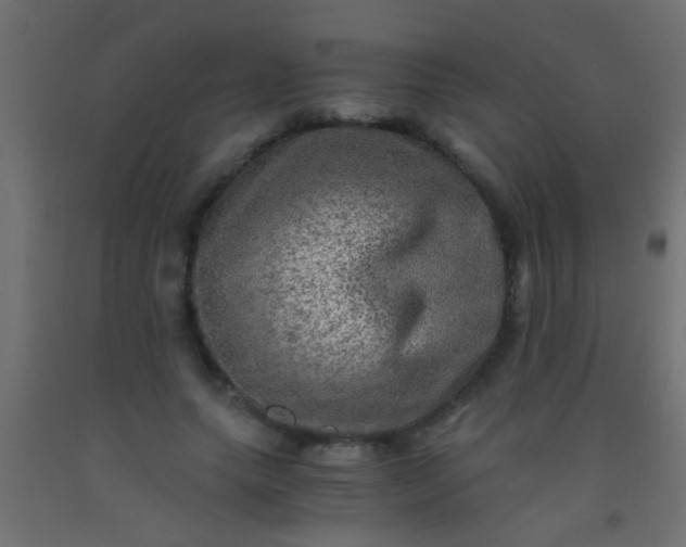 X0000093100639200710101538